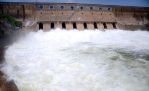cauvery