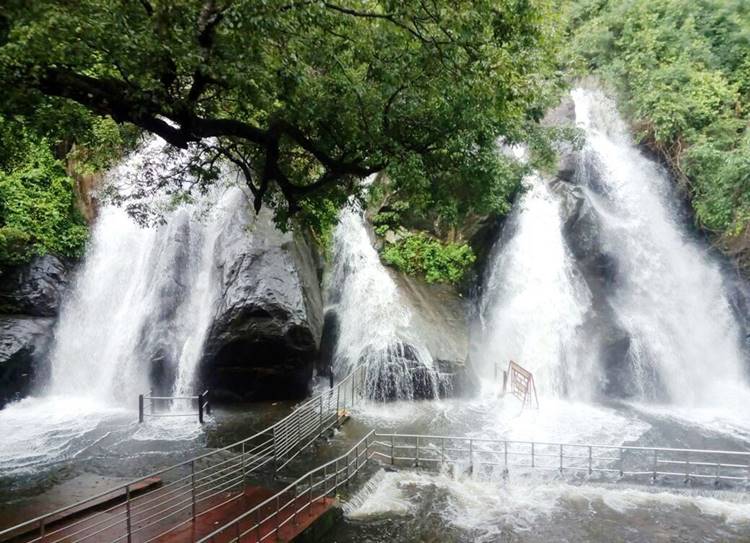 Tamil Nadu Rains and Weather LIVE, தமிழகத்தில் மழை, தென்காசி. குற்றால அருவி