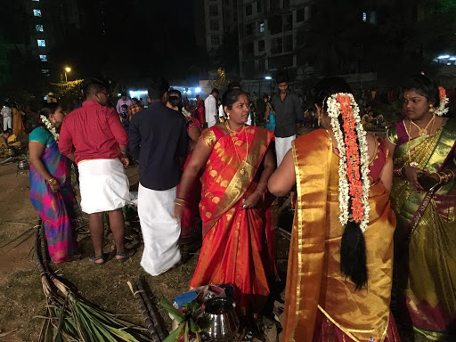 happy pongal images 2019