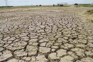 water crisis in chennai latest news, சென்னை குடிநீர், water scarcity in chennai, Chennai mla Maa.subramanian, மா.சுப்பிரமணியன்