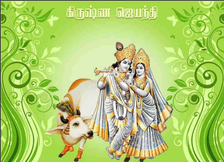 Krishna jayanthi in tamil