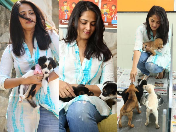 Celebrities with their pet dogs