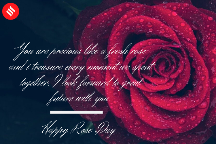 Valentines day 2020 Rose day 2020 images and wishes