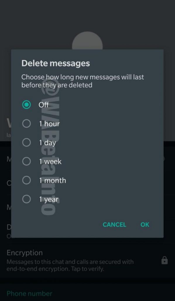 WhatsApp self-destructing message feature available for Android beta users