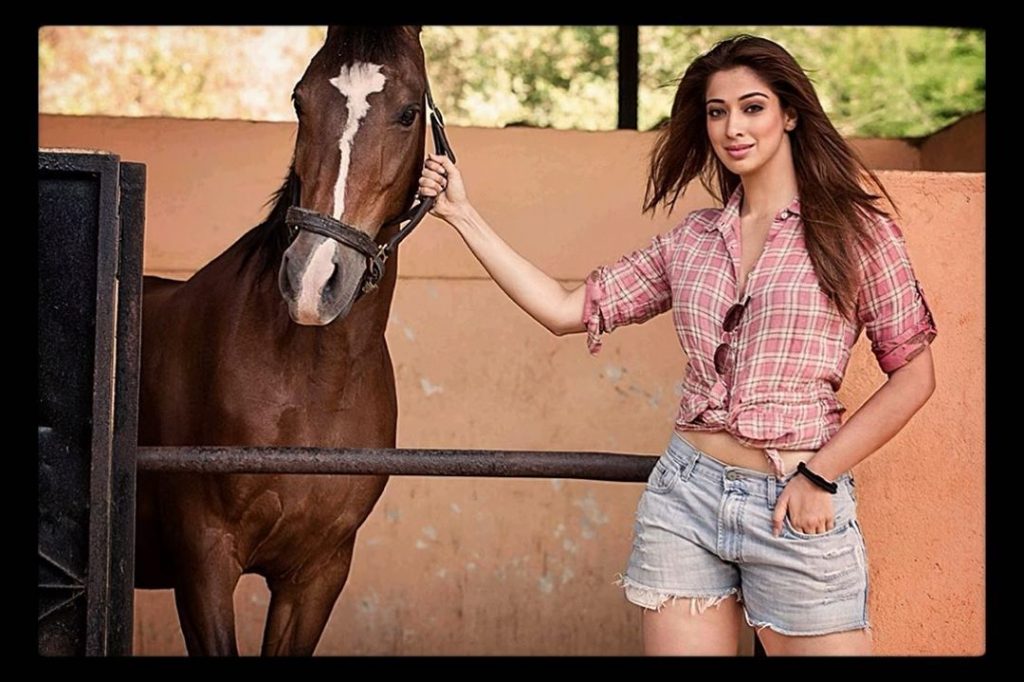 Tamil Cinema Celebrities Latest Images