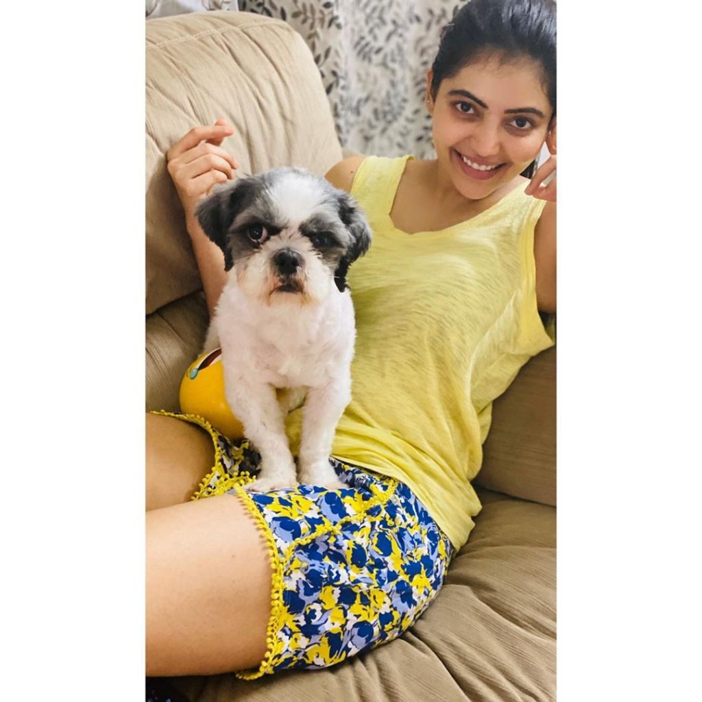 Tamil Cinema Celebrities latest Images