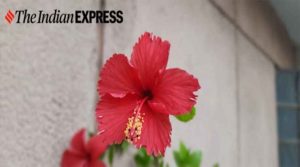 samsung tamil news samsung galaxy m31s Mobile Phone price review