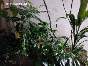 Samsung Galaxy M51 phone review