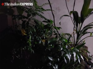 Samsung Galaxy M51 phone review