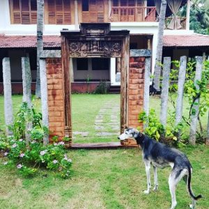 Bollywood star Kalki Koechlin shares her Tamilnadu house picture goes viral tamil