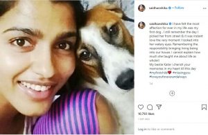 Kollywood Actress Sai Dhanshika about her pet tamil news