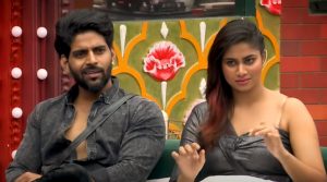 Bigg Boss 4 Tamil Vijay Tv Suchi Anita Bala Rio Shivani Som Day 43 review