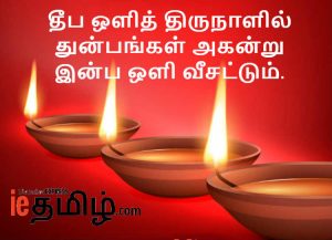 Dheepathirunaal Thiruvannaamalai dheepam