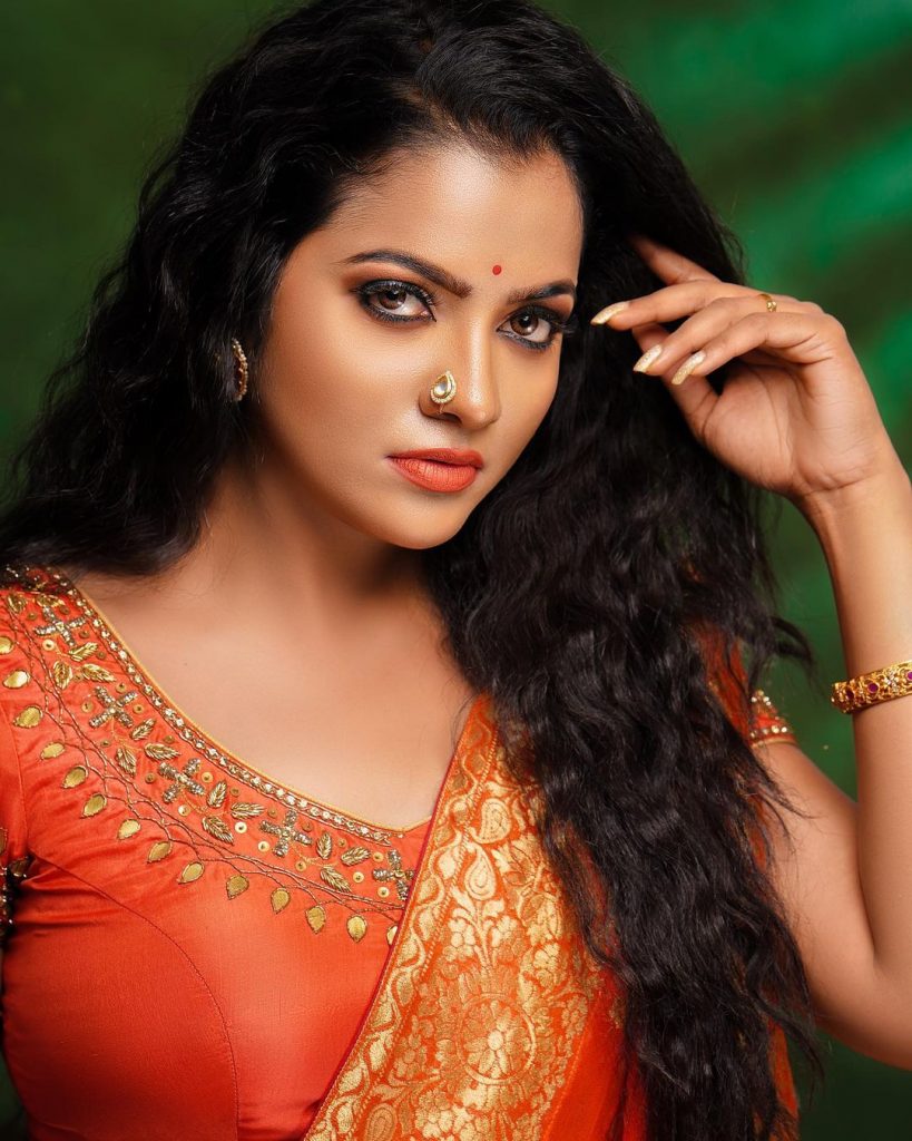 What is the reason behind VJ Chithra Suicide