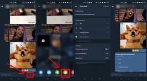 How to use Telegram Polls
