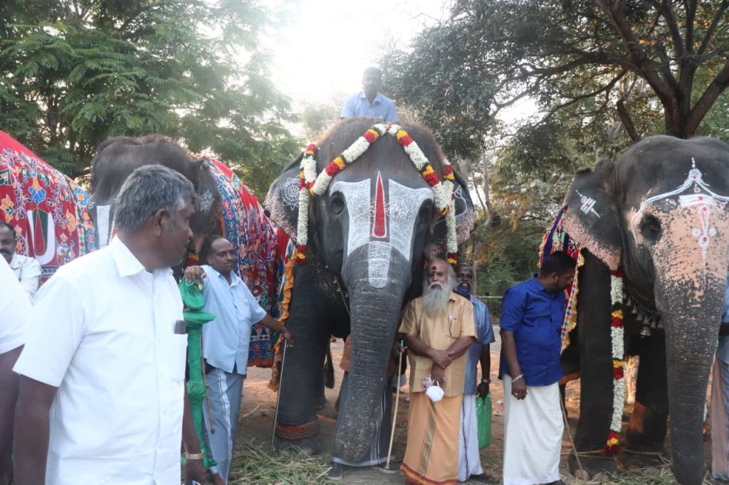 48-day retreat for temple elephants kicks off near Mettupalayam