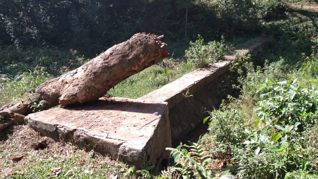 Human animal conflicts in Nilgiris