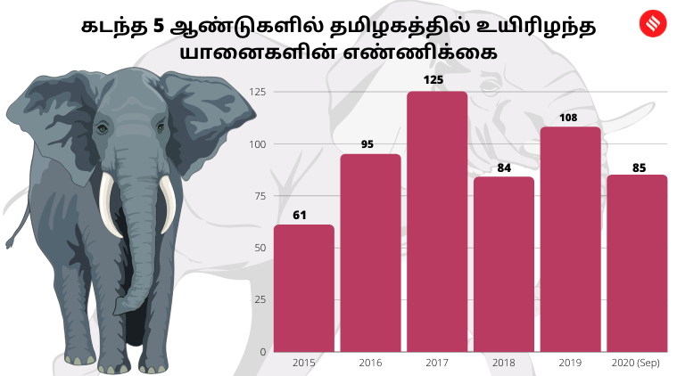 Human animal conflicts in Nilgiris