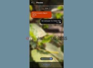 How to use Signal custom chat wallpapers feature tamil news